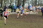 Womens under-20s, 2020 British Athletics Inter Counties Cross Country Champs., Prestwold Hall, Loughborough. Photo: David T. Hewitson/Sports for All Pics